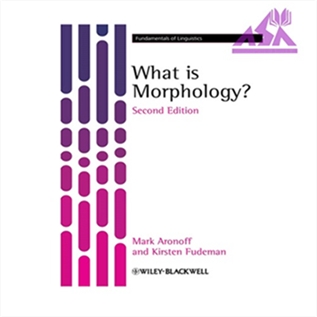 What is Morphology