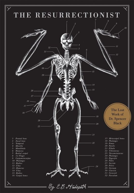 کتاب انگلیسی رستاخیز  The Resurrectionist جلدسخت