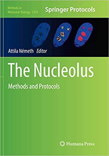 کتاب زبان د نوکلئوس The Nucleolus : Methods and Protocols