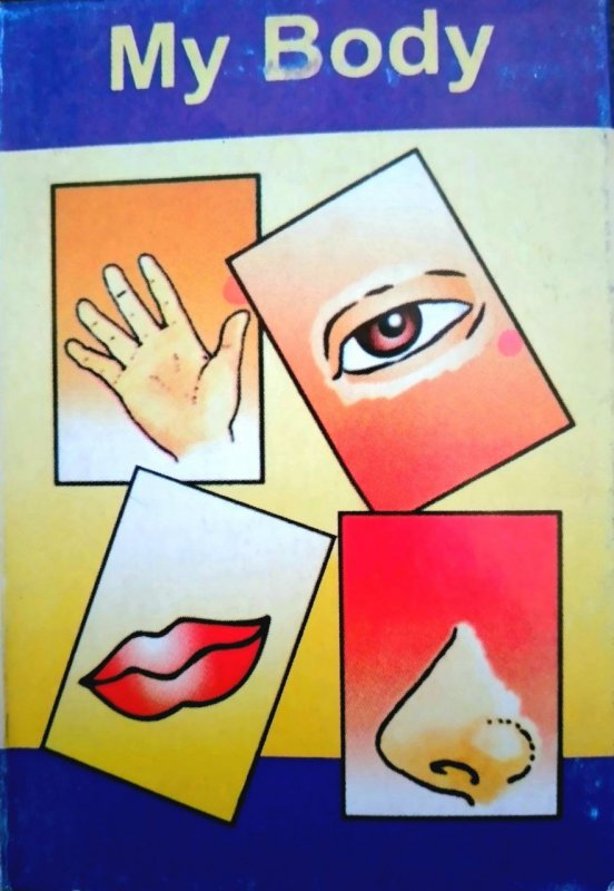 فلش کارت بدن من My Body Flashcards