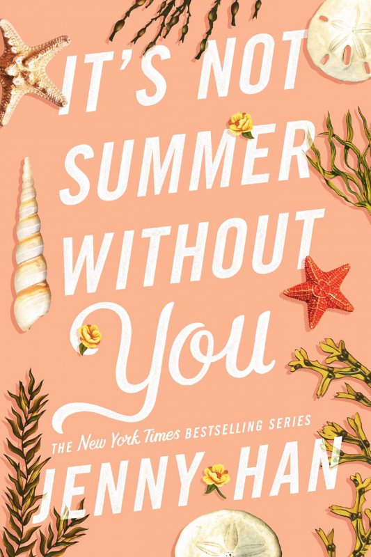 کتاب رمان انگلیسی بدون تو تابستان نیست It's Not Summer Without You