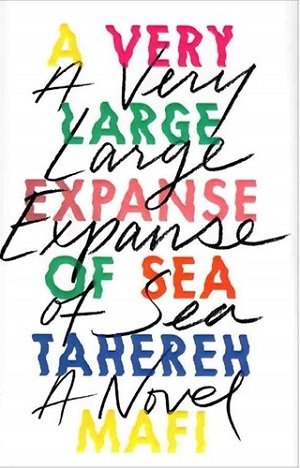 کتاب رمان انگلیسی گستره وسیعی از دریا A Very Large Expanse of Sea