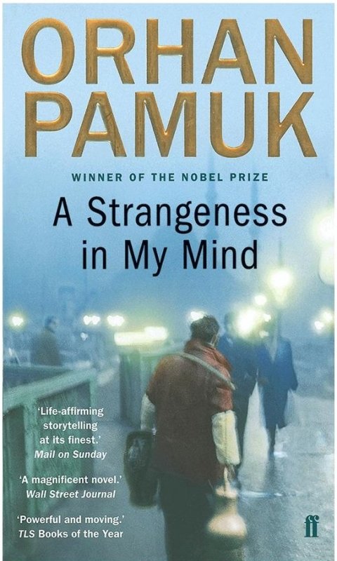 کتاب رمان انگلیسی بیگانگی در ذهنم  A Strangeness in My Mind