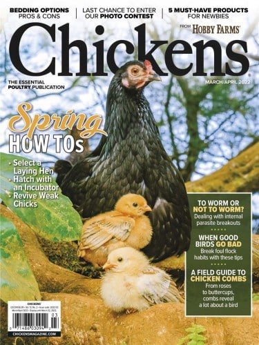 کتاب مجله انگلیسی چیکنز  Chickens - Vol. 13 No. 2, March/April 2022
